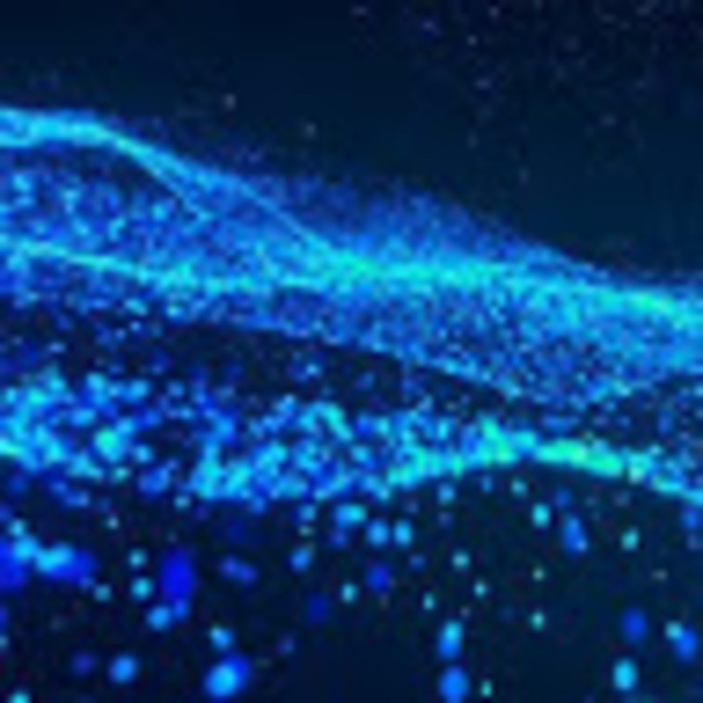 Meet your Posher, Jalece